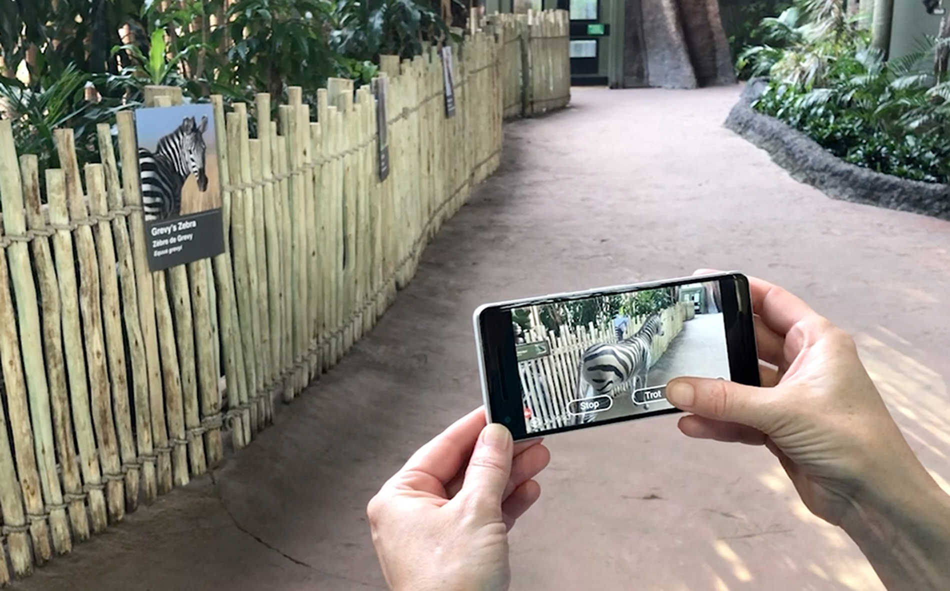 Toronto Zoo Augmented Reality